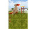 Petz Dogz Talent Show thumbnail 2