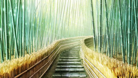 Yamamura Misa Suspense: Kyoto Kuramayama Shou Satsujin Jiken image 7