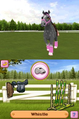 Petz Pony Beauty Pageant image 3