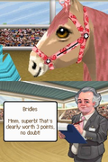 Petz Pony Beauty Pageant thumbnail 4