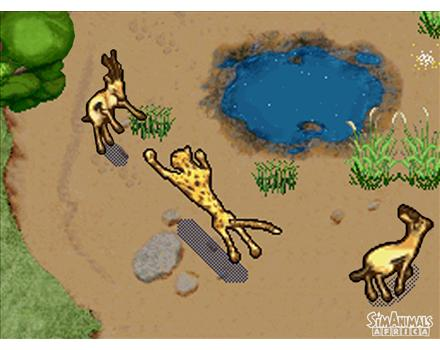 Sim Animals: Africa image 3
