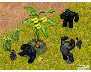 Sim Animals: Africa