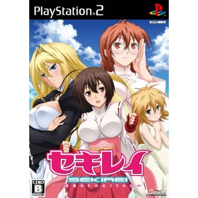 Sekirei: Mirai Kara no Okurimono image 1