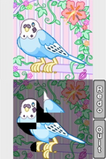 Smart Girl's Playhouse 2 thumbnail 9