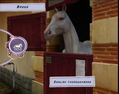Horse Life Adventures thumbnail 2