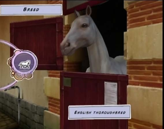 Horse Life Adventures image 2