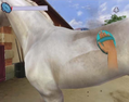 Horse Life Adventures thumbnail 6
