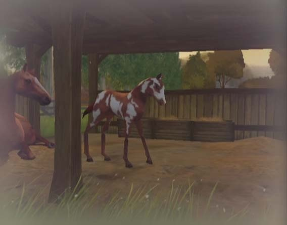 Horse Life Adventures image 7