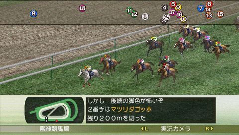 Winning Post 7 2009 image 4