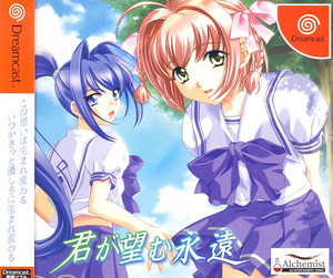 Kimi ga Nozomu Eien [Limited Edition]_