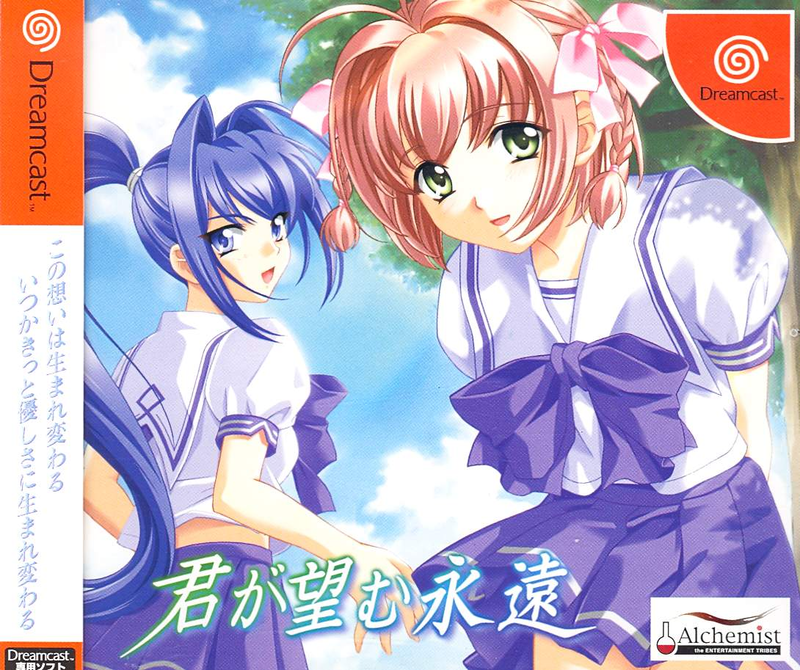 Kimi ga Nozomu Eien [Limited Edition] image 1