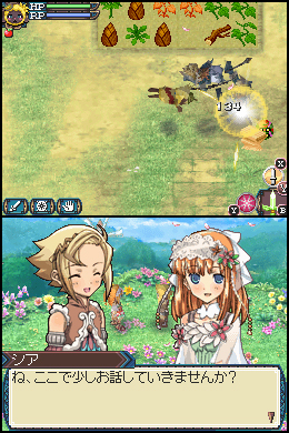 Rune Factory 3 image 4