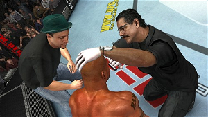 UFC 2009 Undisputed