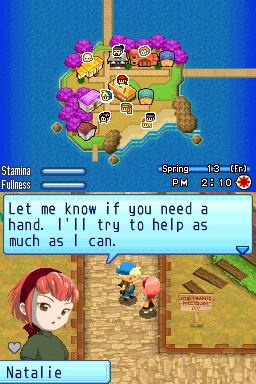 Harvest Moon DS: Sunshine Islands image 5