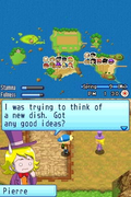 Harvest Moon DS: Sunshine Islands thumbnail 10
