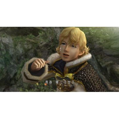 Final Fantasy Crystal Chronicles: The Crystal Bearers image 2