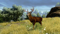 Cabela's Outdoor Adventure 2010 (Case broken) thumbnail 6