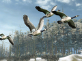 Cabela's Outdoor Adventure 2010 (Case broken) thumbnail 8