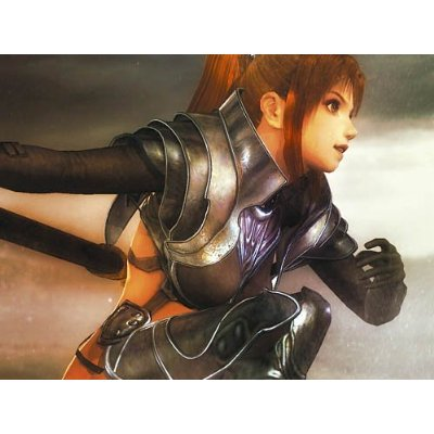 Zill O'll Infinite (Koei Teiban Series) image 6