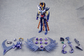 Saint Seiya Saint Cloth Myth Pre-Painted Action Figure: Phoenix Ikki (Re-run) thumbnail 5