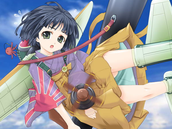 Moe Moe 2-ji Taisen Ryoku 2 [chu] image 3