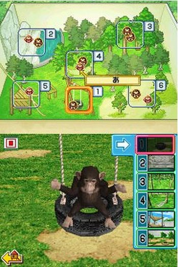 Dakkoshite! Chimpanzee image 4