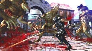 Ninja Gaiden 2 (Platinum Collection)