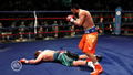 Fight Night Round 4 thumbnail 13