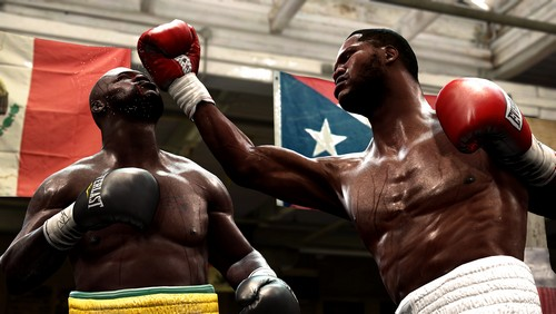 Fight Night Round 4 image 5