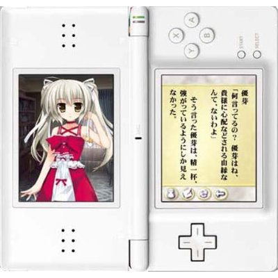 Game Book DS: Aquarian Age Perpetual Period [Premium Box] image 3