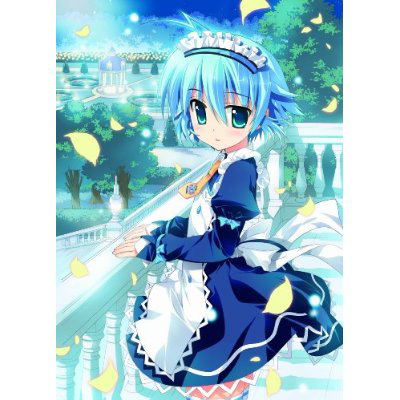 Game Book DS: Aquarian Age Perpetual Period [Premium Box] image 6