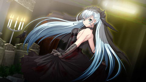 No Fate! Only the Power of Will [Limited Edition] image 11