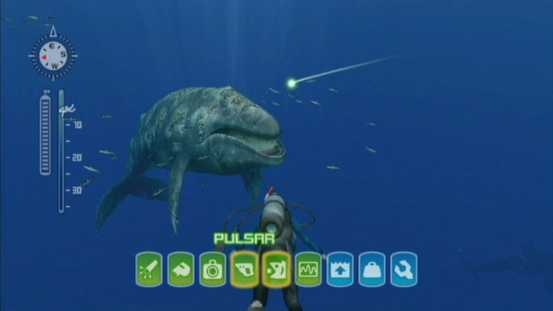 Endless Ocean: Blue World image 6