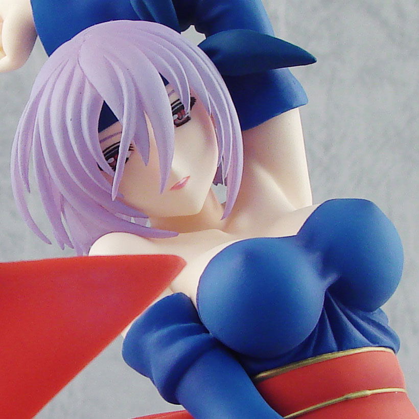 Dead or Alive 4 1/7 Scale Pre-Painted PVC Figure: Ayane