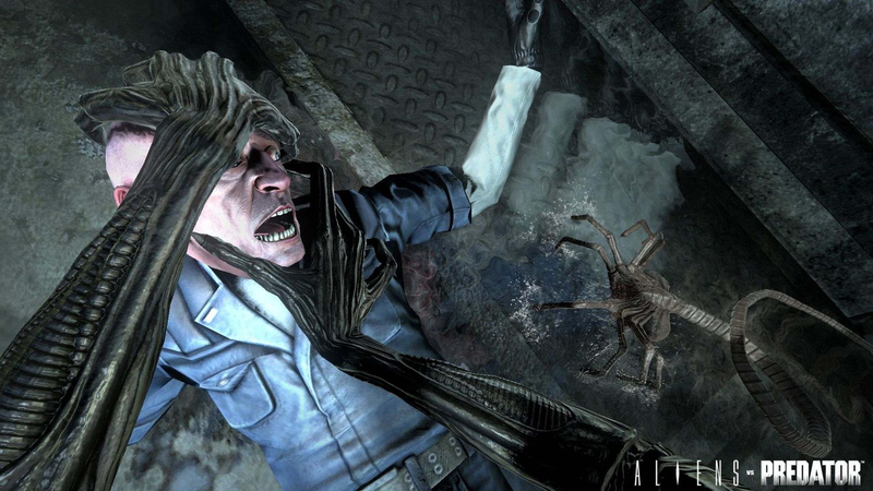 Aliens vs Predator [Hunter Edition] image 9