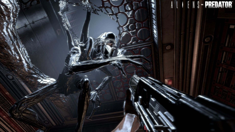 Aliens vs Predator [Hunter Edition] image 11