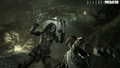 Aliens vs Predator thumbnail 6