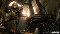 Aliens vs Predator thumbnail 2