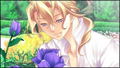 Real Rode Portable thumbnail 2