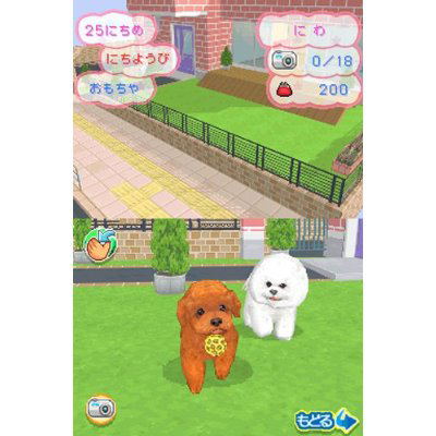 Kawaii Koinu DS3 image 5