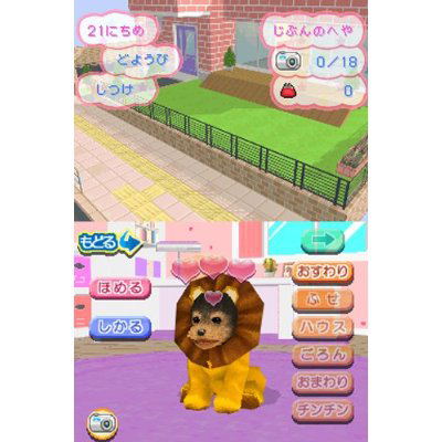 Kawaii Koinu DS3 image 7