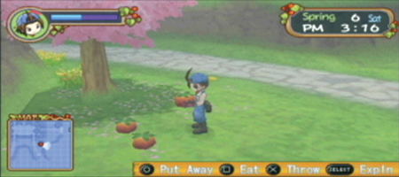 Harvest Moon: Hero of Leaf Valley image 5