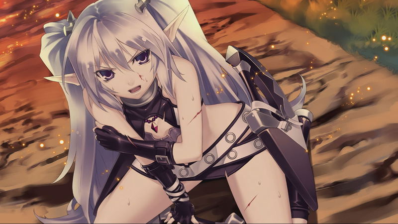 Record of Agarest War [Limited Edition] image 13