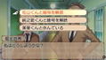 Harakuju Tantei Gakuen: Steel Wood thumbnail 4