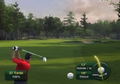 Tiger Woods PGA Tour 11 thumbnail 7