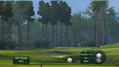 Tiger Woods PGA Tour 11 thumbnail 8
