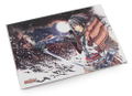 Yoshitsune-ki [Limited Edition] thumbnail 3