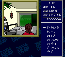 Zero 4 Champ image 4