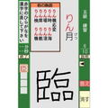 Ippan Zaidan Houjin: Nippon Kanji Shuujukudo Kentei Kikou Kounen - Tsuutenkaku DS thumbnail 2