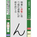 Ippan Zaidan Houjin: Nippon Kanji Shuujukudo Kentei Kikou Kounen - Tsuutenkaku DS thumbnail 3